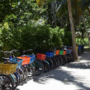 2017_03_24 Insel La Digue