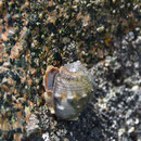 2017_03_ Insel Praslin, Strand 