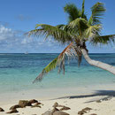 2017_03_ Insel Praslin, Strand - unser Postkartenmotiv