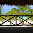 Isla Pasion (Île de la Passion) près de l'Île de Cozumel, Mexique
