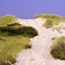 Truro, Cape Cod, Massachusetts.