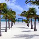 Isla Pasion (Île de la Passion) près de l'Île de Cozumel, Mexique