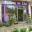 Vitrine extérieure
