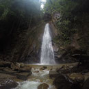 Syndicate/Milton Falls