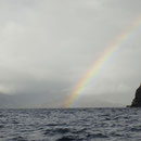 Segeln unter dem Regenbogen durch