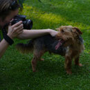 Fotograf: Margitta