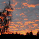 Fotografin: Gisela