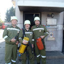 2012 Nibbelink, Schwaiger, Koller