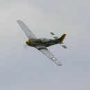 ... aus der gleichen Epoche: Eine Mustang P-51