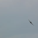 trotz kräftigen Wind fliegt die kleine recht ordentlich