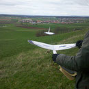 Der kleine Whipit am Hang in Spielberg