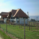Umbau Bauernhaus in Mörigen