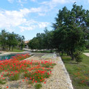 Côté piscine