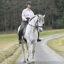 Schulterherein auf dem Feldweg, Foto: Lisa Rädlein www.cavallo.de