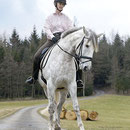 Traversale im Schritt, Foto: Lisa Rädlein www.cavallo.de