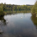 Wehra, Los 4 (Rheinmündung)
