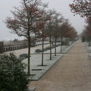 Promenade