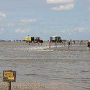 Wattenmeer