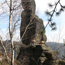 der Muschelkopf