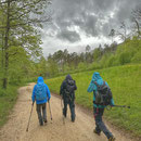 Auf dem Rückweg
