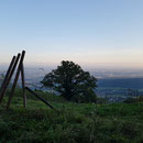 Abenstimmung