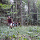 Jetzt quer durch den Wald