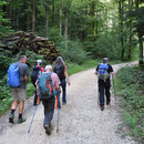 Start in der Fallern in Rüttenen