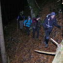 Baumstamm auf dem Wanderweg