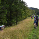 die Wanderung wird durch üppige Steinpilzfunde verzögert