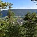 der einzige Ausblick heute aus dem Wald