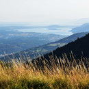 der Bielersee ist zum Greifen nah