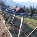 Petite Schönenberg