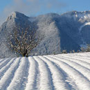 Balmfluhchöpfli mit Rötifluh im Winter vom Reckenacker aus gesehen