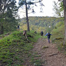 oberhalb Wasserfallen in der Region Chrütli