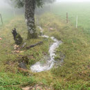 Am obersten Ende vom Attiswiler Dorfbach sieht man sonst nie Wasser