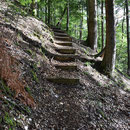 Ein schöner, aber steiler Pfad führt die Schlucht hoch