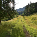 weiter des Weges