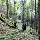 im Schofgraben