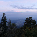 Mittelland im Abendlicht
