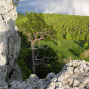 Gipfelimpressionen auf dem Rüttelhorn