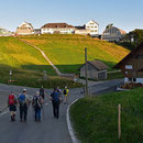 gewöhnungsbedürftiger Anblick auf dem Hügel oben