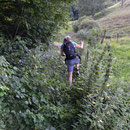 Die Wanderleiterin geht vorbildlich in kurzen Hosen durch Brombeeren und Nesseln