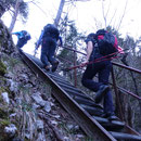 Vor dem Einstieg zur Stiegelos muss noch diese Treppe "überwunden" werden