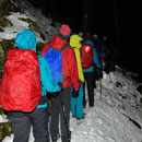 Dicht gedrängt im Schnee