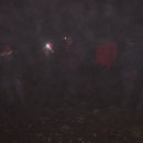 Auch ohne Navi finden wir die Martinsfluh. Das Gruppenbild fällt jedoch etwas in den "Nebel"