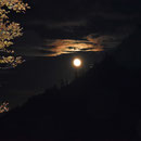Mond hinter der Rötifluh