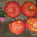 Herbstgemüse