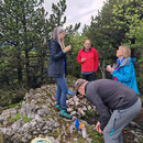 Gipfelrast