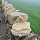 Neue Trockenmauer mit Härzlischtei