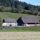 Bremgarten